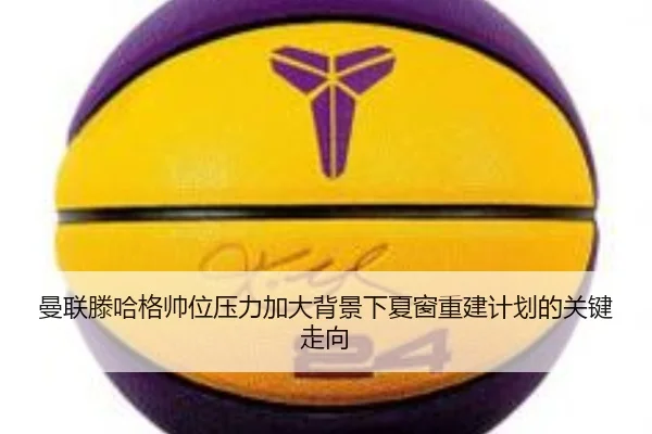 man-lian-teng-ha-ge-shuai-wei-ya-li-jia-da-bei-jing-xia-xia-chuang-chong-jian-ji-hua-de-guan-jian-zou-xiang-2-797.jpg